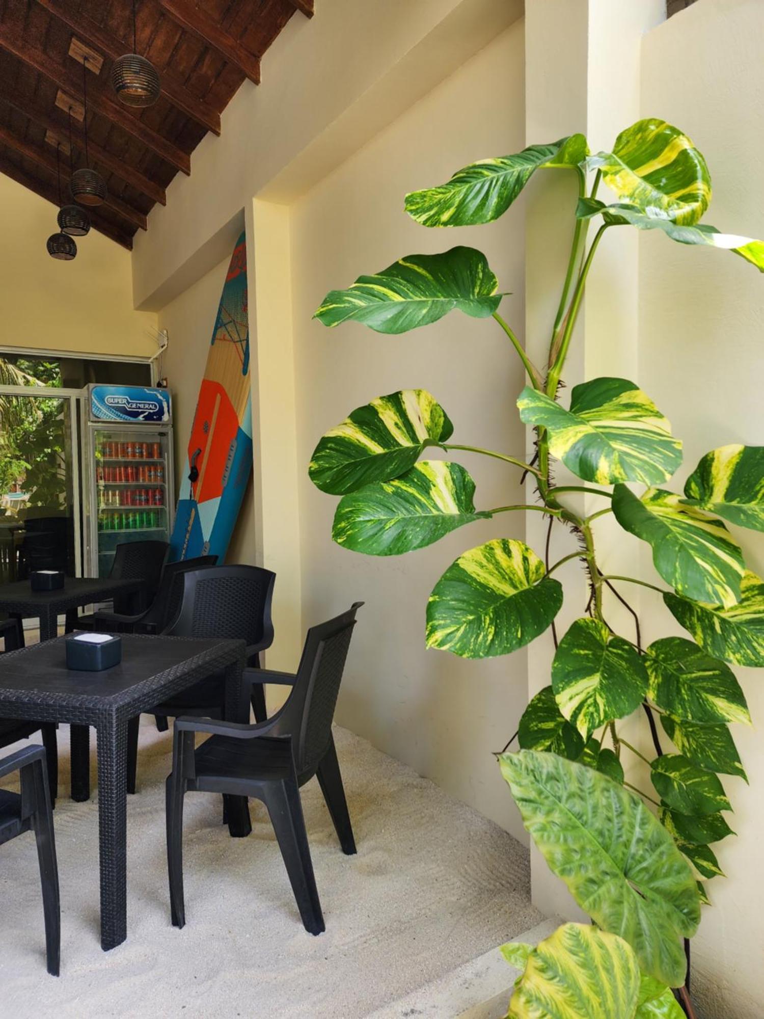 Dhigurah Dhonveli Boutique Hotel Exterior foto